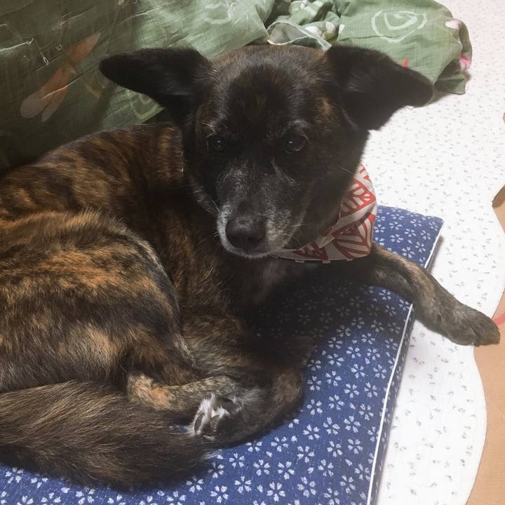 2da7a789 a6a3 44e1 ae5c 23eec53f2a2a 1556029479607