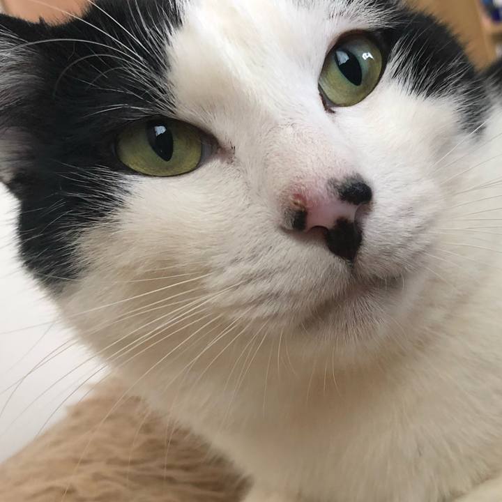 2da7e175 fe26 49fe a1df adc8f62a6c33 1556316729907