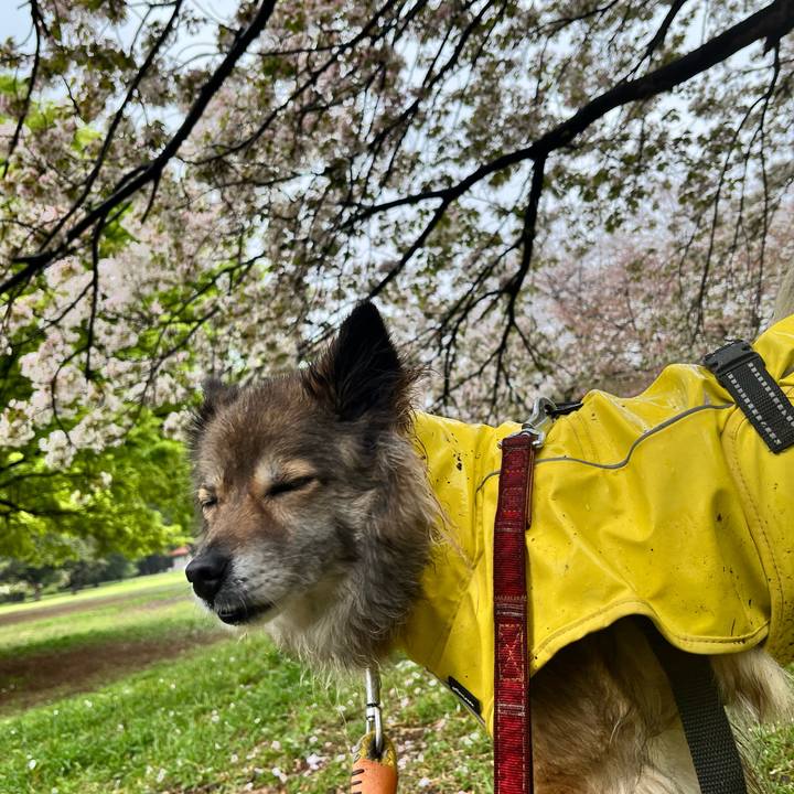 2da7e64c 315c 4feb b71c ebd2f62f7728 1744517733920