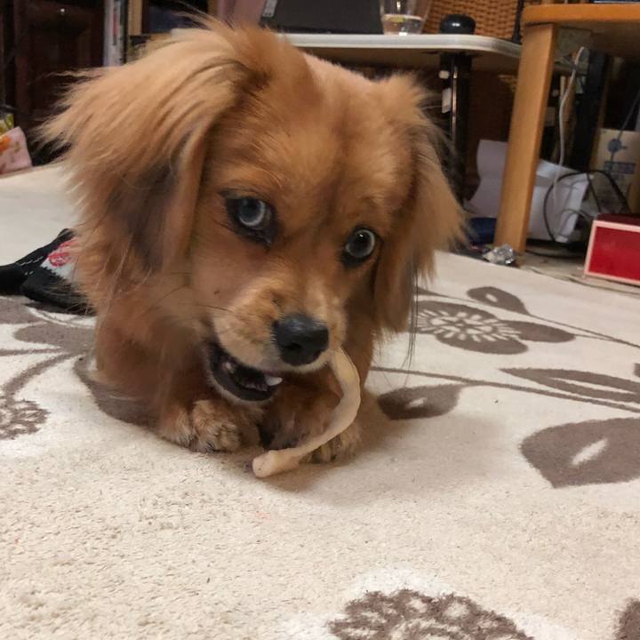 2da7f82e 2a2c 401c 8680 7546f0f91167 1511214728064