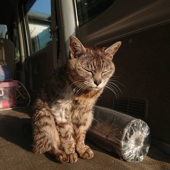 2da807e1 af0e 4a82 83e0 a21545223b77 1591736669547