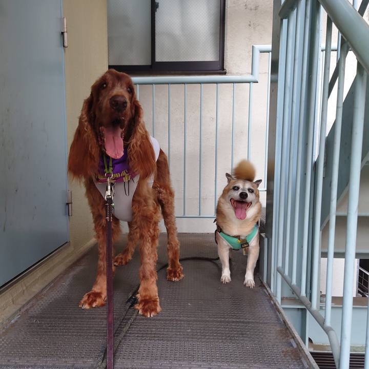 2da835ea e42d 4ae1 8b0c c035e1c4ddc5 1664193991953