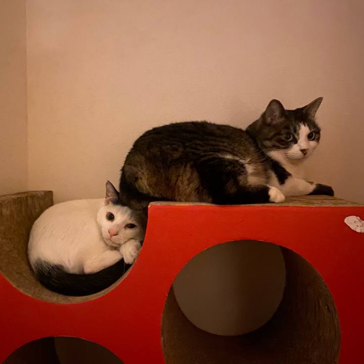 2da88b9d 86e1 4923 a9c1 2a49c005f020 1680602622255