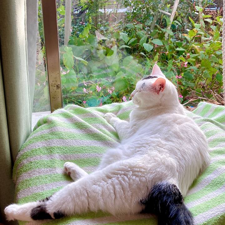 2da89c02 b2f7 4360 b3be 5694c3c98329 1633318690344