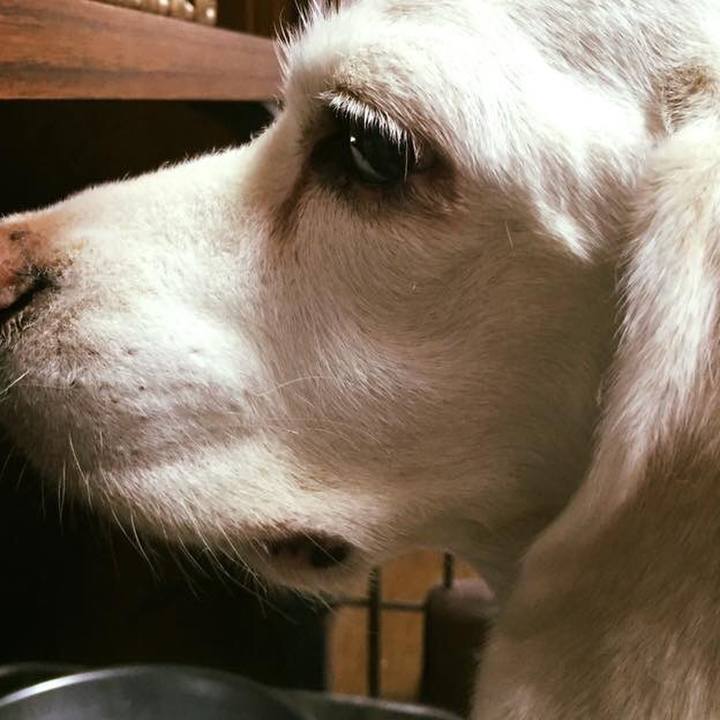 2da92641 f448 405c bcf9 bafe6a921f35 1562576079300