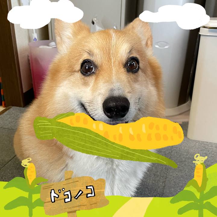 2da93aa9 a00c 46db b1a5 e1eddef1bc7d 1786840152854