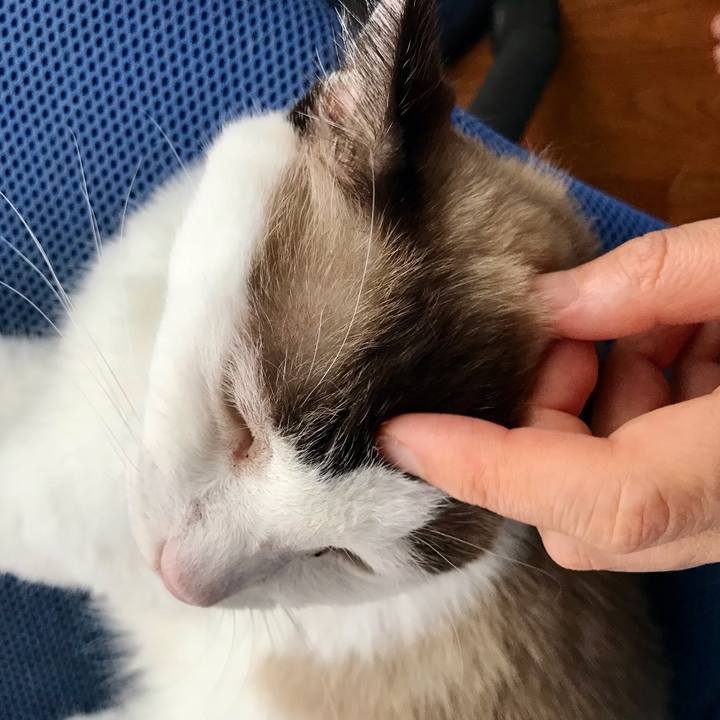 2da981f5 2bb9 4e9a bc0e d1226f9579ae 1629679959227