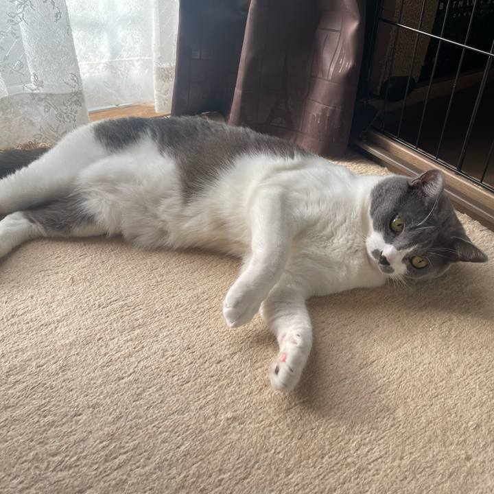 2da98e12 2f80 4f85 b1ec 468c88d91b28 1666481367860