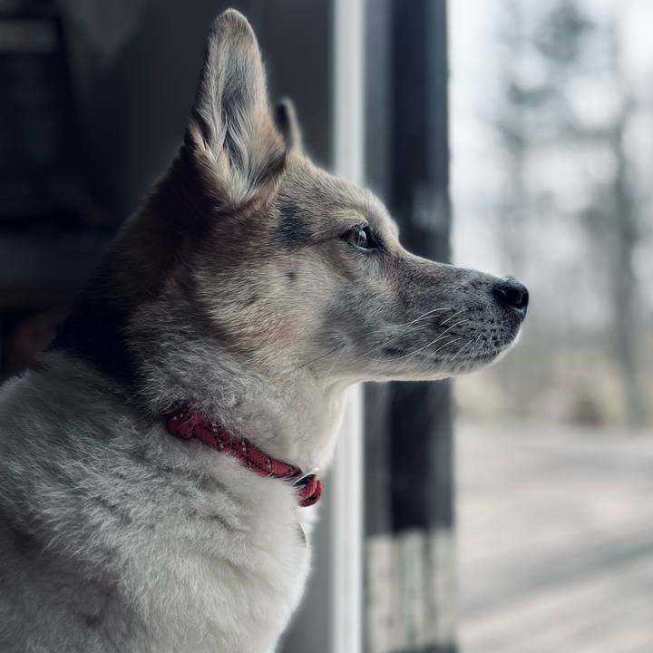 2da9f736 96f4 481c b902 92fca216eaa4 1773817489183