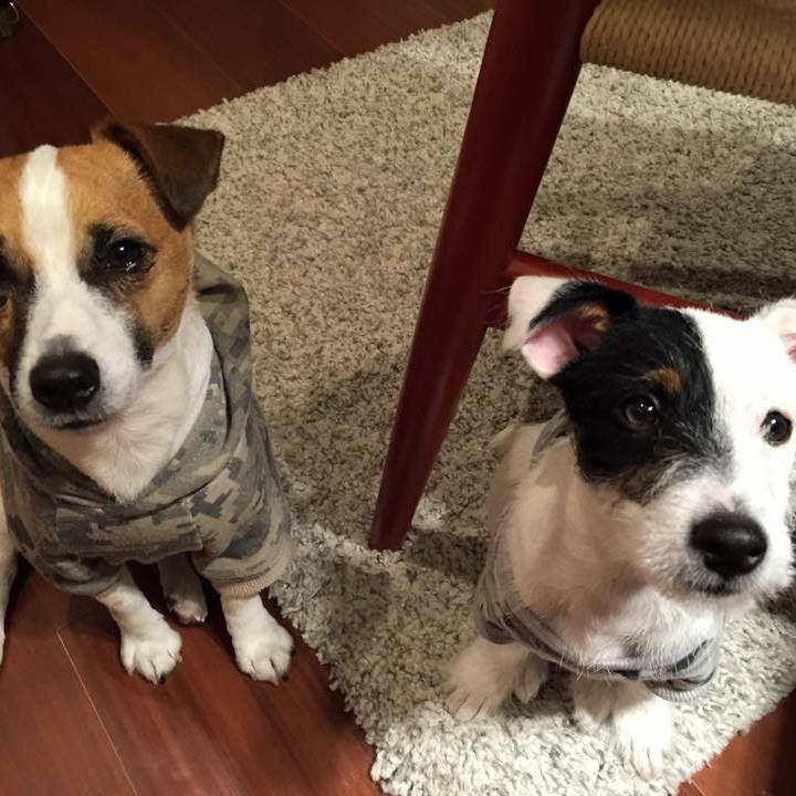 2daa5211 2afb 4c39 aaf1 3d632bb7ce9a 1584054503214