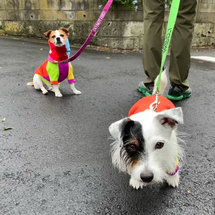 2daa562e 14ef 42e5 8533 0db3fa4978e2 1628812116190