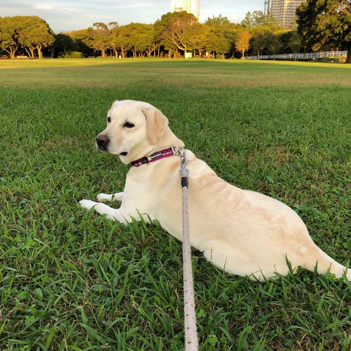 2daa840f c92b 4c49 b38c c208bafd88df 1571816729140