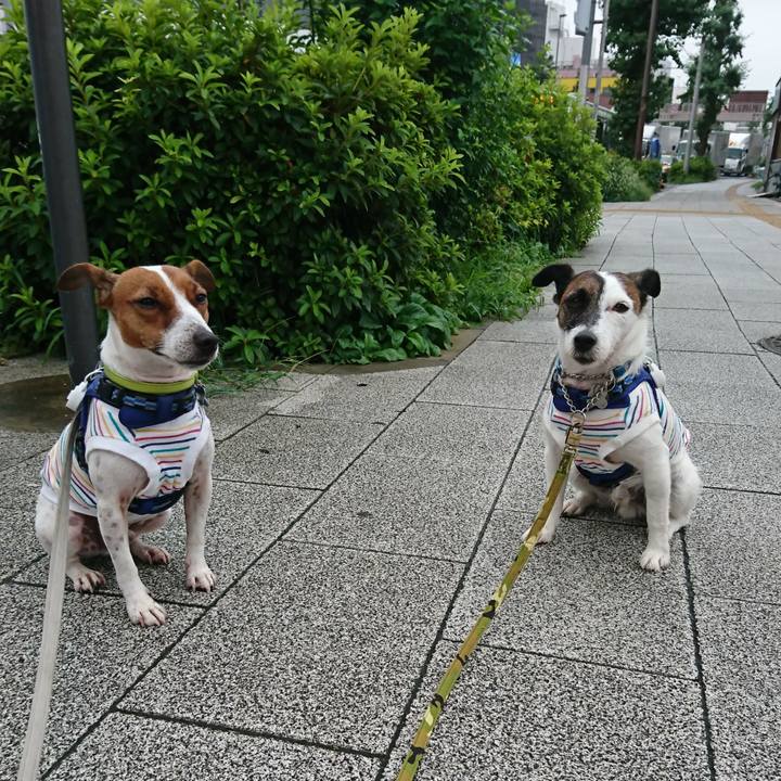 2daa86ed d0c2 46a2 8548 1d95115a4c51 1563747344983