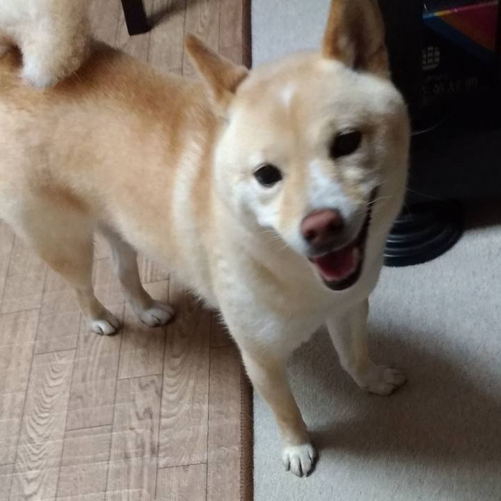 2daa87be a8de 4bdc a179 3add1a289471 1591221768695