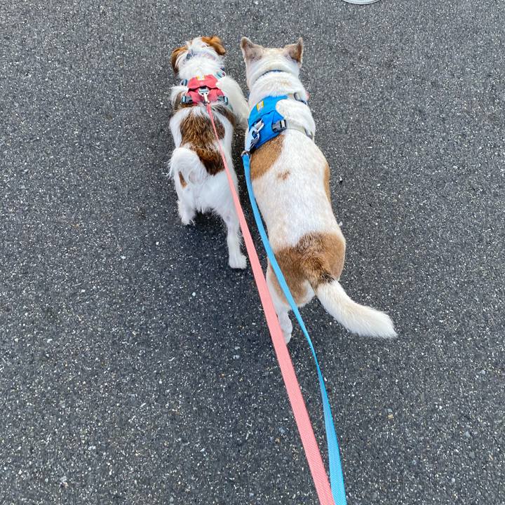 2daa92f3 f4c8 481b bbed c33bca2e2fca 1698977425175