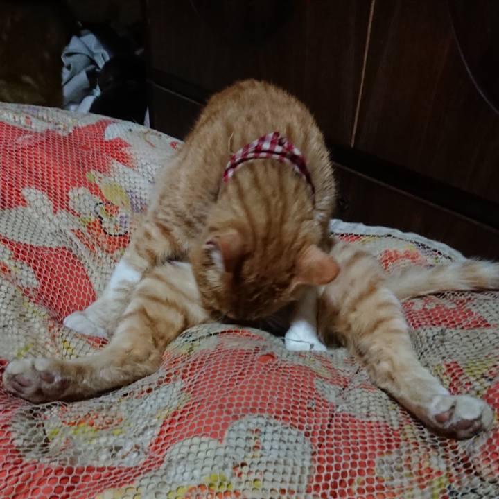 2daaa4a3 24dd 4363 81a2 fceb1287d0cc 1560256795424