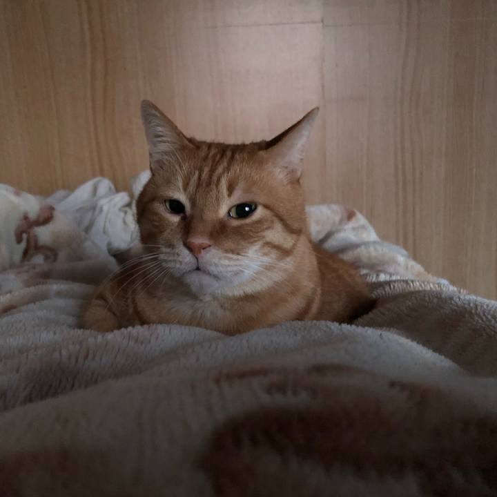 2daaa7e9 685b 4ab5 904a 5d5cd673492a 1646686626448