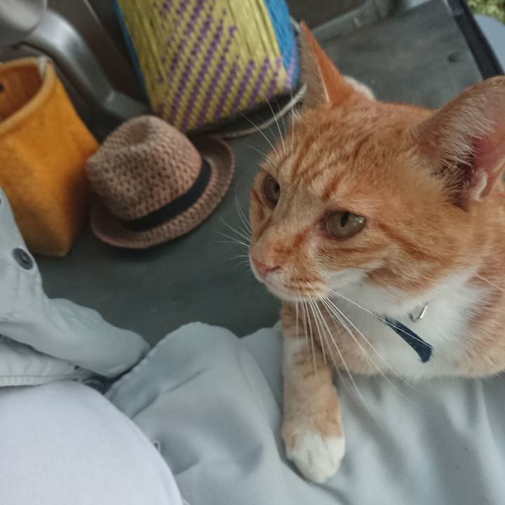 2daaacc5 6e19 4d48 9ce3 74a0d86ea7ba 1597743510855