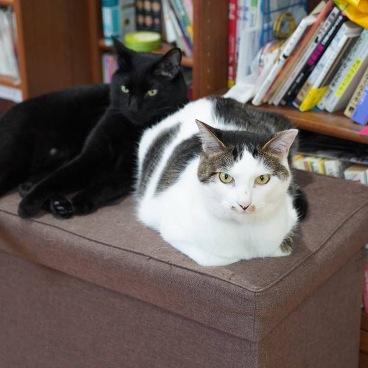 2daac9eb 3de0 4871 b877 527f982c2264 1623199463596