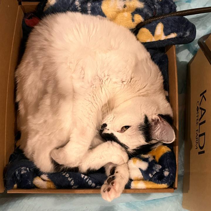 2daadad0 a58a 4fac b1eb 89e6cb2c36da 1767365936572