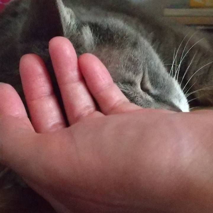 2dab63b0 1cdf 4507 82e9 beca9abd6636 1657010708608