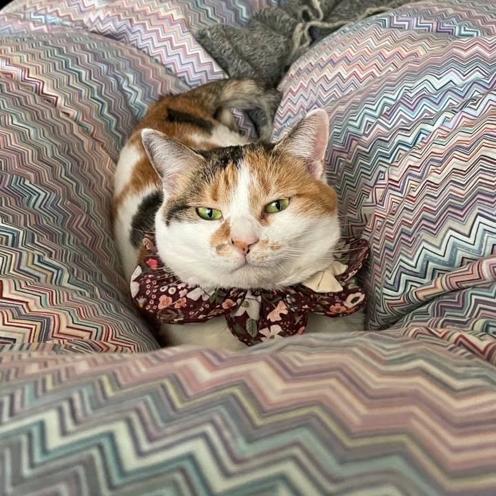 2dab9337 ef29 4e80 aa19 9e36b6fae80f 1744759922025