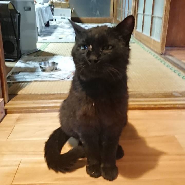 2dabb70d fc03 4351 bfb0 4bc942acfbfa 1623580829599