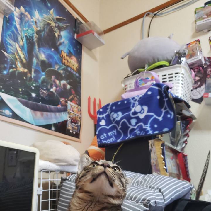 2dabe5ff 246a 4d30 8d32 b35d8c273570 1543348819824