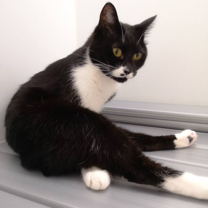 2dac6b92 13b0 4c85 9827 a9a27a639b03 1543672190704