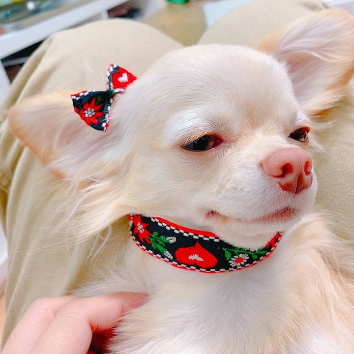 2dac75ae ad75 4cb8 a58a 2723011628ef 1627562249502