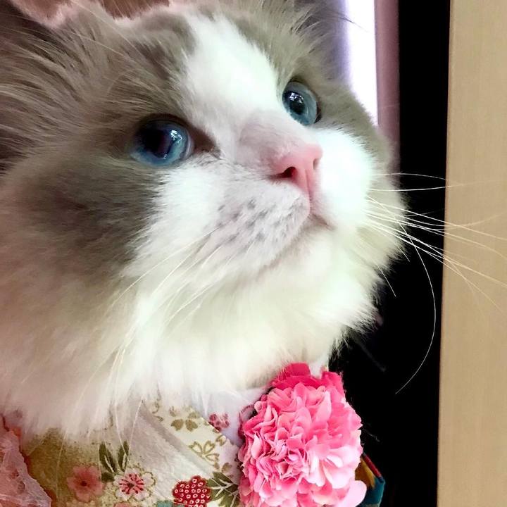 2daccbfe 399c 4004 81ec 85164e401269 1628882762890