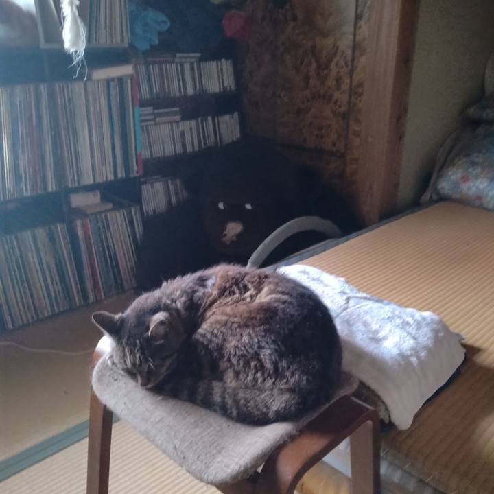 2dacd051 10c2 4273 ab39 1f78ecabaff4 1750728359498