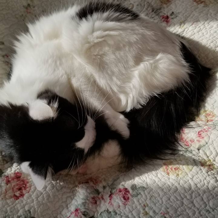 2dace8a6 2120 4bf2 905c 4734bb10e8de 1550439886273