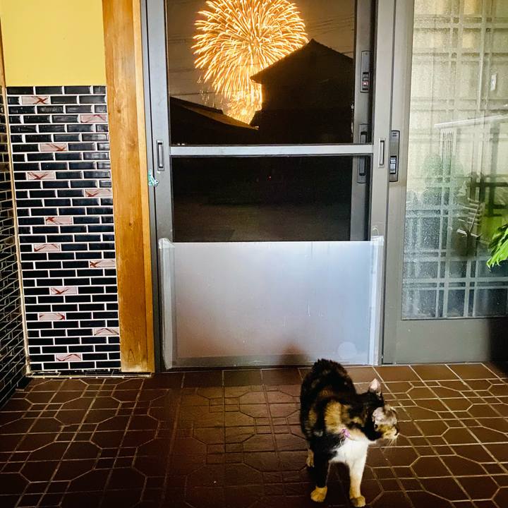 2dacf6b9 faeb 4d16 ac5f 0bd560b8d6b9 1722083393568