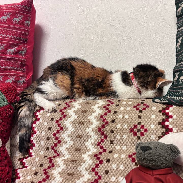 2dad186b f1f8 4008 b29c 8d093204bf38 1746538286438