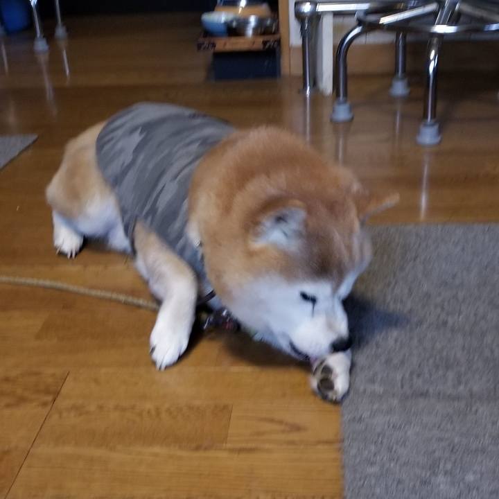 2dad3993 427c 428e b390 6e6be1913596 1701239894068