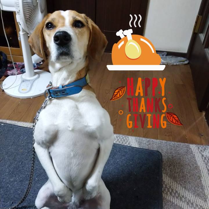 2dad5272 4047 42b6 a0e2 9d876757d675 1606103178568