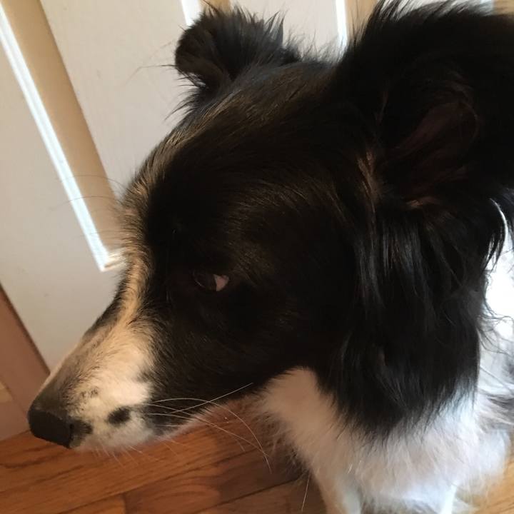 2dad697e d9f2 4018 b1be 2c140e0218a4 1513048317699