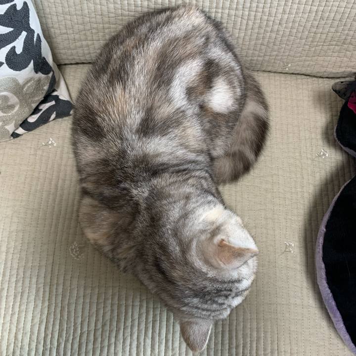 2dad6e75 3861 44f9 8601 189d09d84999 1708126392665