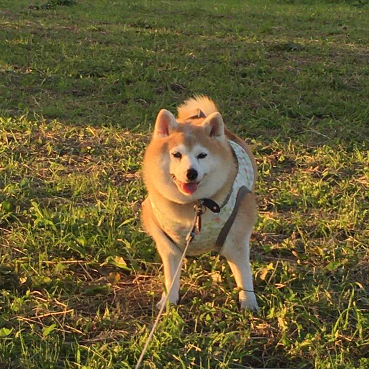 2dad6f1f 4cac 4cb9 874b be4a6e69ad7d 1603534216717