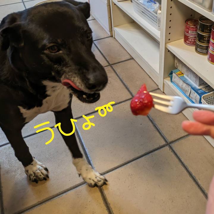 2dad7ec0 c918 45ec a6ae 67d2240b61b7 1713868578822