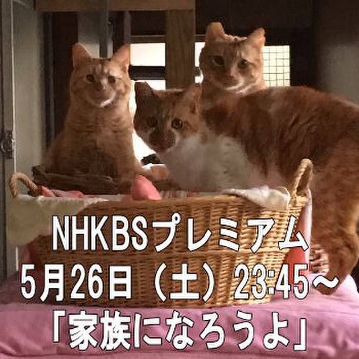 2dad9b8d 3fb4 4fb0 a7c1 55c342c10da4 1526812046038