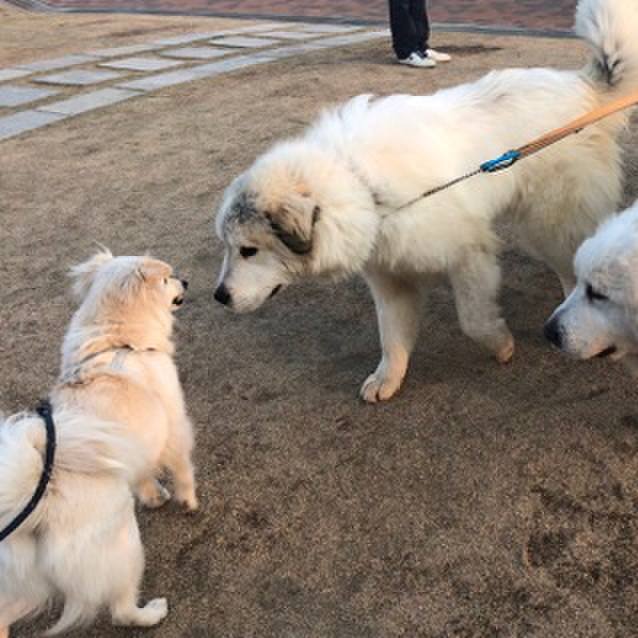 2dada130 f130 4665 8ec0 9827ed0ce3c3 1521002539923