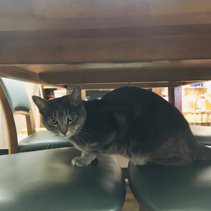 2dade342 aef4 4429 a595 acff4fdc8045 1572740607741