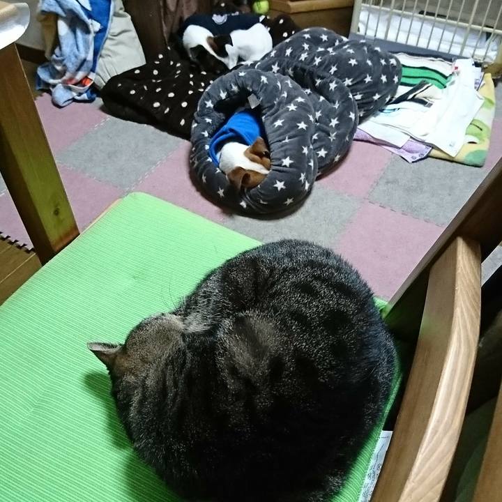 2dade82f e6b5 4674 8100 34028d897fb4 1546082617555