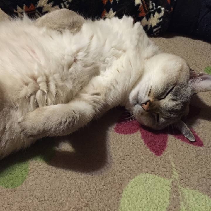 2dadfba3 ded1 43bd 8031 9f17ca266d12 1546695571226