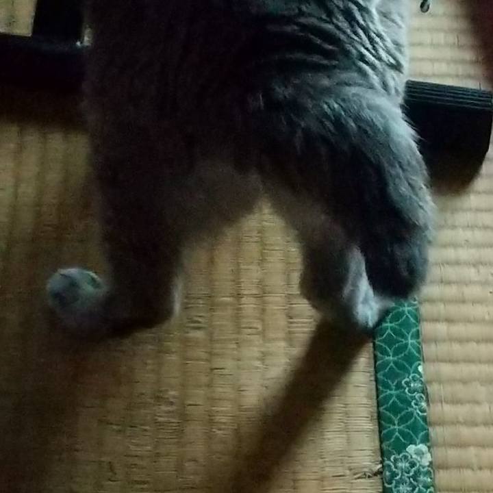 2dae0f55 5a5e 4d27 a858 a353cfa7718d 1697408351650