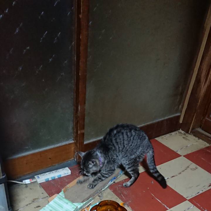 2dae1bba b9a7 4c15 a1b6 ee0d229a5934 1580932341697