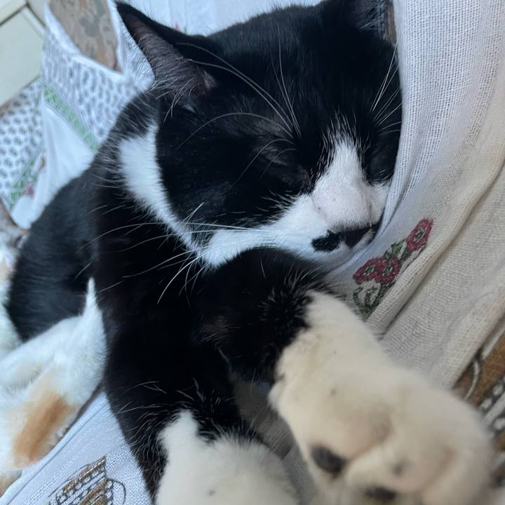 2dae1d44 a61a 4f6c a453 faf1f4c23b77 1693900427336