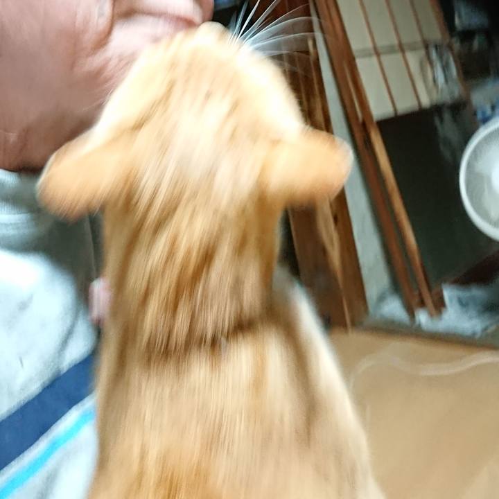 2daeaa84 5dd3 4589 88ee 0bd4545d0a4d 1601409286163